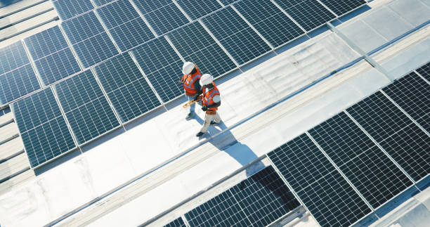 Best Roof Moss and Algae Removal  in Montrose Ghent, OH