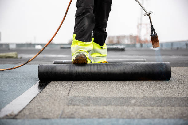 Best Skylight Installation and Repair  in Montrose Ghent, OH